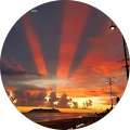 Mauro S. profile picture