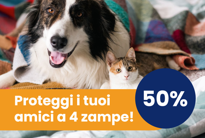 Banner promozione Polizza Cane e Gatto